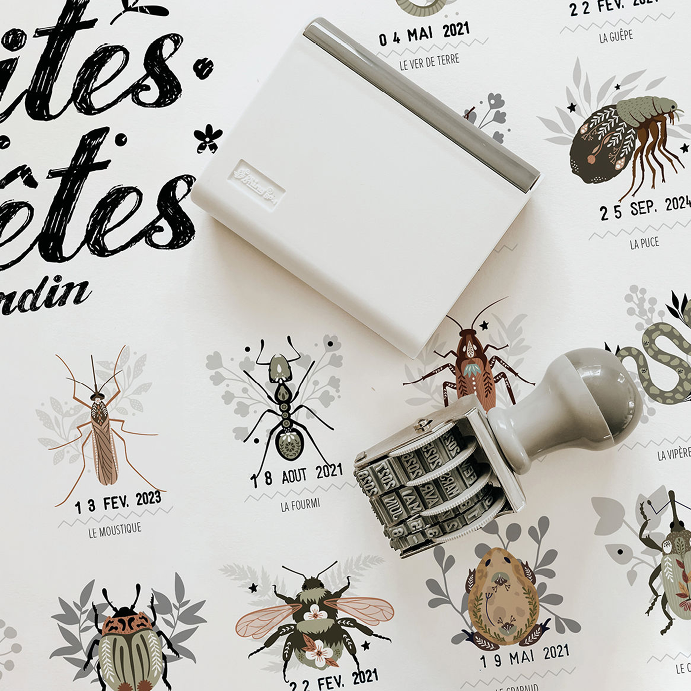 Les petites bêtes du jardin