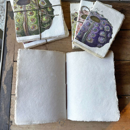 Carnet de pensées - Journal intime en papier de coton Oursin Rouge et Or