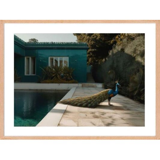 Affiche - Urban Zoo - Paon