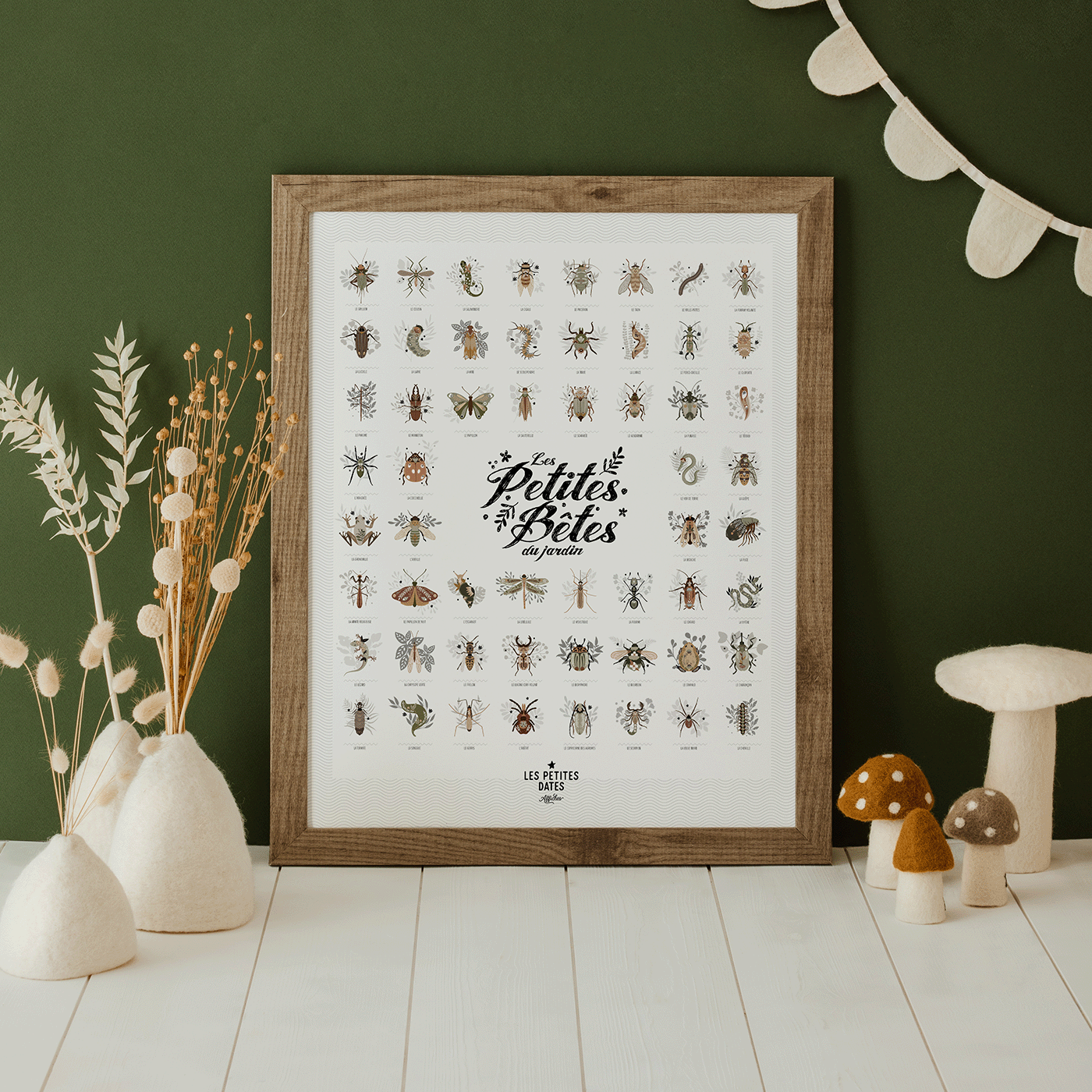 Les petites bêtes du jardin