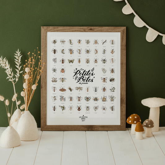 Les petites bêtes du jardin